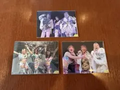 2026年最新】マリーゴールド女子プロレスの人気アイテム - メルカリ