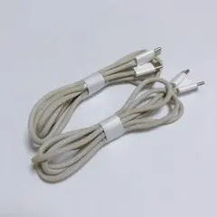 Apple純正編組ケーブル2点セット