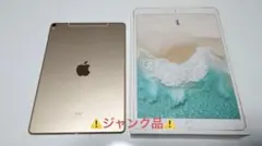 晃様 専用【ジャンク品】Apple iPad Pro 10.5 512GB