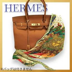 ⭐️最終お値下げ⭐️HERMES プリーツカレ90 CARPE DIEMマルチカラー