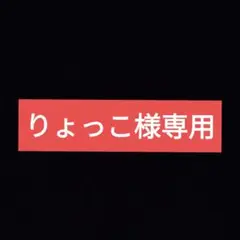 矢沢永吉 ★ YAZAWA CLUB 会員限定 ピンバッジ 希少