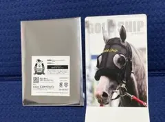 サラブレッドコレクションポストカード　ゴールドシップ