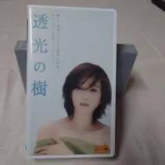 透光の樹 VHS