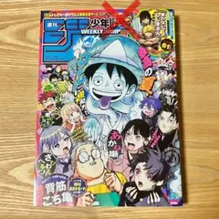 週刊少年ジャンプ レカフィグ ルーシー 応募者全員サービス 応募券無し