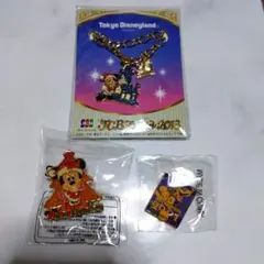 東京ディズニーランド　キーチェーンとピンバッジのセット　非売品　クリスマスツリー