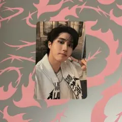 Stray Kids Do it ハン トレカ platform PLVE