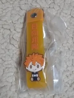 ハイキュー！！　日向