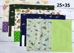 ハンドメイド　ランチョンマット　リバーシブル　5枚セット/　恐竜柄2k115