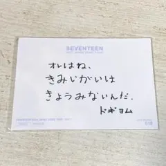 SEVENTEEN ドギョム 2020ドームツアー トレカ