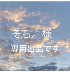 そら。様専用！ GEORGES PEANUTS 1点のサムネイル