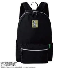 Item thumbnail for item 149cae19-9b2e-4f5b-befb-91b786931a42