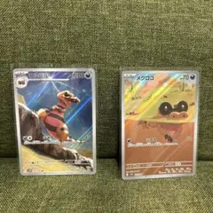 ワルビル・メグロコ　ar2枚セット