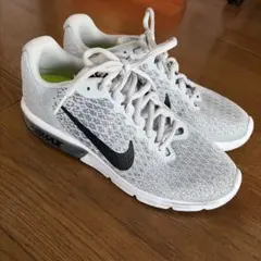 Nike Air Max グレー スニーカー