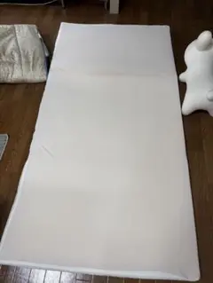 【引取・大阪市】トゥルースリーパー 敷布団