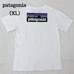 patagonia パタゴニア プリント 半袖 Tシャツ サイズXL