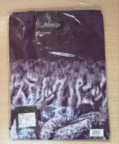 【⭐︎⭐︎激レア廃盤デモCD⭐︎⭐︎】ヒステリックパニック デモ 2枚セット 激レア廃盤デモCD】ヒステリックパニック デモ 2枚セット CD