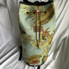 Item thumbnail for item 378f7655-a3dc-44cd-9058-eb9fc0f5b935