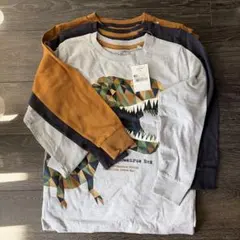 Item thumbnail for item 286893ce-c2ef-404d-a48f-03120b9f02b7