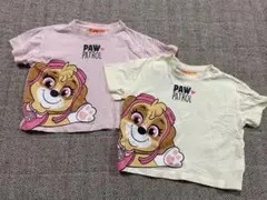 PAW PATROL スカイ Tシャツ 2枚セット　100cm 美品