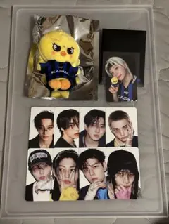 straykids karma キーリングskzoo ポガリ フィリックス