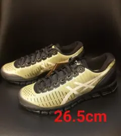 みっちゃん様Above The Clouds Asics Gel-Quantum