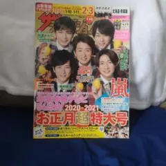ザテレビジョン 2020-2021特大号