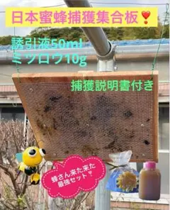 Item thumbnail for item b516a398-b2a3-43c8-af8b-f7881c5a6403