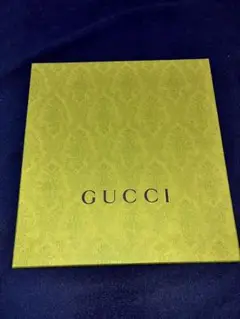 【美品】GUCCI エンボス加工 外箱のみ