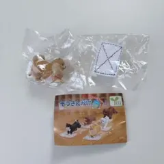 Item thumbnail for item 03851737-c10e-4c3e-9708-f11e64be45ca