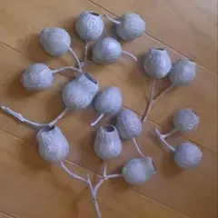 ベルガムナッツ❇️ウォシュホワイト❣️木の実