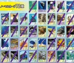 鳥羽水族館　コレクションカード ノーマル 21種セット
