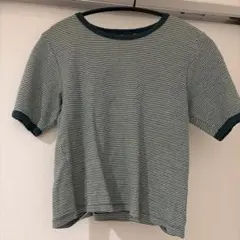 ボーダー柄 リンガーTシャツ 半袖　Kastane