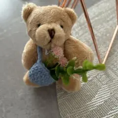 スリーコインズ　くま