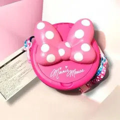 パルパルーザ ミニーのファンダーランド ポップコーンバケット ディズニーランド