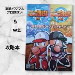 実戦パワフルプロ野球14 & Wii 選手育成パーフェクトガイド