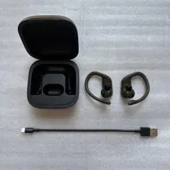 【美品】Beats Powerbeats Pro 完動品 ケース付 充電ケーブルのサムネイル