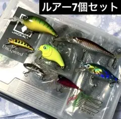 【レア】レボニック サラモアポロ ラムジー シェキラー78 カラーB レア】レボニック サラモアポロ ラムジー シェキラー78 カラーB - メルカリ