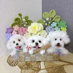 Item thumbnail for item fea7e0d5-8eed-4425-91fa-9d5d9eb35681