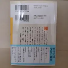 ミーのいない朝 : 愛する猫との二十年