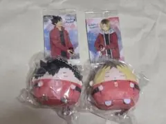 ハイキュー〇ぬいくじ③