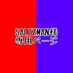 SALTZMAN様専用ページ