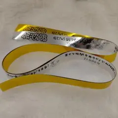ТWS ファンミ2025 42:CLUB 銀テ①