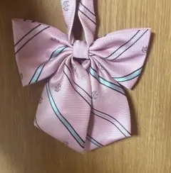 Item thumbnail for item 016ddc85-cb88-475e-aa24-3a4869ce0c17