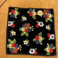 Item thumbnail for item ef39904c-6950-483f-bf2f-9d932a7707f2