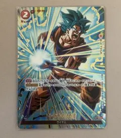 も*ん様 ゴッドかめはめ波【DBFW】 FS01-16