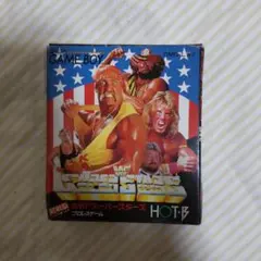 WWFスーパースターズプロレスゲーム箱のみ