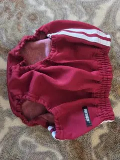 ブルマ　赤　コスプレイベント用