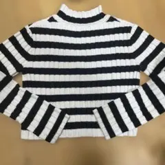 ストライプリブ編みハイネックセーター