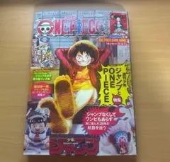 ワンピースマガジン20　1冊　最安値