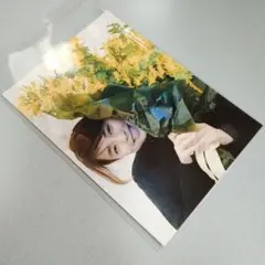 石田ゆり子写真★２Ｌ判